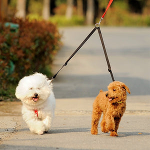 WALK 2 Two DOGS Leash